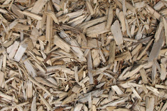 biomass boilers Carnglas